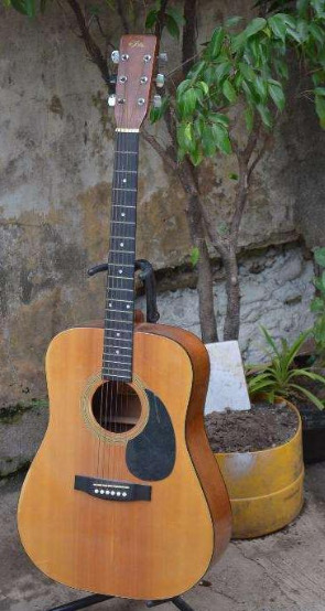 Aria acoustic guitar photo